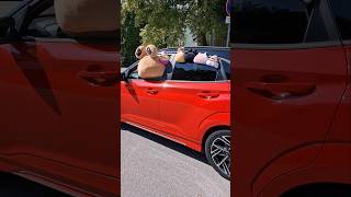 Pou drives away 😂💩 #pou #plushie #plushtoy