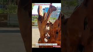 #十木工坊 #台灣檜木 #黃檜 大屏風-收藏老件 #原木風 #實木 #wood #屏風 #工廠直營 #天然原木風 #原木 #檜木 #木工 #工廠  #wood #家具 #台灣製造 #熱門