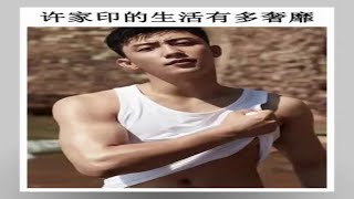 许家印靠着三大靠山撑腰，生活奢靡到了极点，把私人飞机打造成了空中夜总会