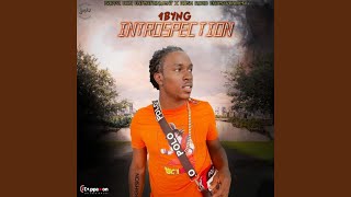 Introspection