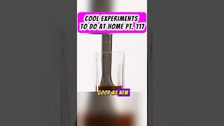 COOL EXPERIMENTS TO DO AT HOME PT. 117 #facts #diyscience #coolexperiments #scienceexperiments