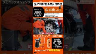 【新商品】イージーフォーム 『簡単フォームで、輝きが甦る。』 洗車がより楽しくなる！【BUDDICA PHOENIX BODY】