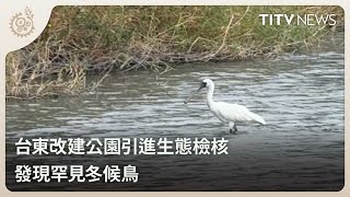 台東改建公園引進生態檢核 發現罕見冬候鳥｜每日熱點新聞｜原住民族電視台