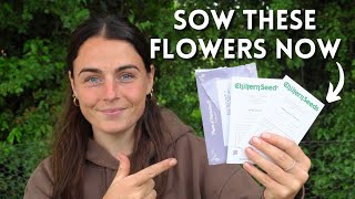 Sow These Biennial Cut Flower Seeds Now & Fill The Early Summer Gap (June 2025)