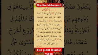 #shorts #ytshorts #muslim360 #quranrecitation #islamicshorts #quran #islam360 #islamicprayer #short3