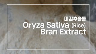 미강추출물(Oryza Sativa (Rice) Bran Extract)
