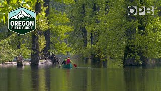 Exploring Washington’s mysterious disappearing lake | Oregon Field Guide