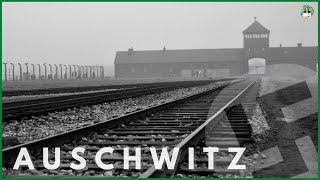 AUSCHWITZ: The Complete DISTURBING Tour | WARNING: Actual footage
