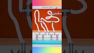 Connect the pipe to give the fawn water. #어몽 #어몽어스 #gameshorts #game #shorts