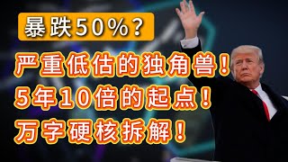 暴跌50%，我却认为这是最被低估的AI独角兽！|未来五年翻10倍的起点 #万字硬核拆解 |#ZETA | #AI | #美股 | #投资理财｜#价值投资｜#基本面分析
