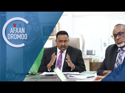 Tamsaasa Guyaadhaa Guyyaa