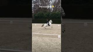 How To Get Eliminated In Dressage... The Thoughts In This Horse's Mind and That "Jump" LOL #fail