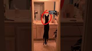 Scariest Things Hidden In Normal Photos😱😨 #scary #viral #ytshorts