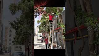 IPCCTV Project done by ATS #Aakam #ats #cctv #omr #chennai #rayan