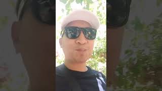 Grapes in the desert... Tabuk, KSA #buhayofw #shortvideo #chixietv