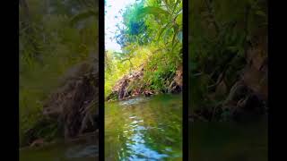 Surah Rahman | فَبِأَيِّ آلَاءِ رَبِّكُمَا تُكَذِّبَانِ | Most Soothing Quran Recitation #shorts