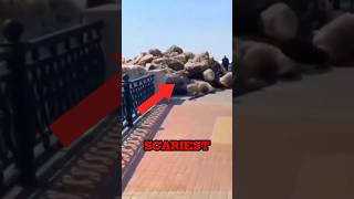 TOP 5 PHENOMENON THAT CAN NEVER BE EXPLAINED 😱😮