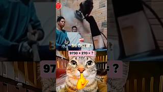 Fan Flying Mood On 😬💀 #funny #cat #reaction #shorts #edit #brocatedit