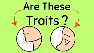 Traits in Genetics
