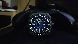 CITIZEN PROMASTER MARINE BN0225-04L TIME LAPSE