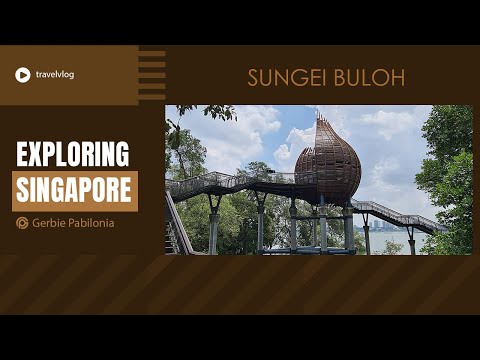 #singaporetravel 2024 / Sungei Buloh Wetland Reserve / Best nature-based tourist spots