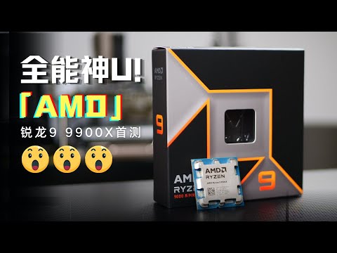 AMD銳龍9 9900X首度評測：生產力、遊戲全能神U！|AMD Ryzen9 9900X Review