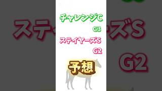 #チャレンジc と#ステイヤーズs の予想です。#チャレンジカップ は中距離路線で面白そうな馬が多く楽しみです☺️#競馬予想 #競馬 #ステイヤーズステークス #ラヴェル #ミクソロジー #jra