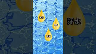 游泳池的水是藍色，是因為⋯⋯