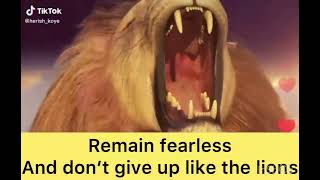 Never give up #fyp #fypシ #news #trending #peterobiforpresident #tiktok