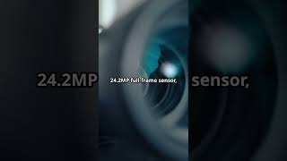 Sony A7III EXPERT Review: I Spent 30 Days with this MIRRORLESS Camera!