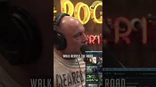 Joe Rogan on the 'Bondo Ape' Lion Killer Chimp