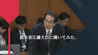 2020年3月11日 農水委員会で聞いてみた。