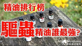 優雅趕走你家的螞蟻、蟑螂、蚊子可能嗎？驅蟲精油排行榜