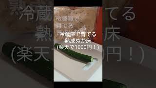 #4人兄弟 #food #漬物 #ぬか漬け #きゅうり
