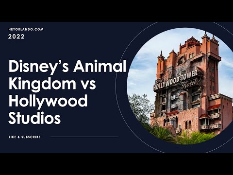 Animal Kingdom vs Hollywood Studios at Walt Disney World #shorts