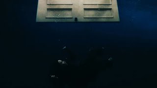 Billie Eilish - WILDFLOWER ft. NL FO4EVER (remix)