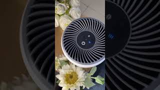Breathe Better, Live better With The Levoit Core Mini Air Purifier #airpurifier #shorts #levoit