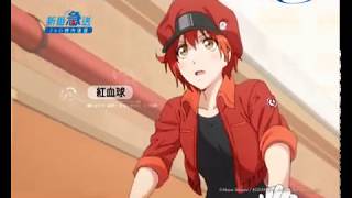 【ANIMAX #新番急送 :《工作細胞》】7/8起 每週日 21:30 與日本同日放送