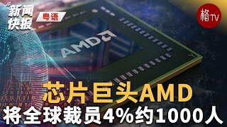 （粤）芯片巨头AMD将全球裁员4%约1000人【新闻快报】