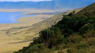 The Drive Down Into The Ngorongoro Crater, Tanzania