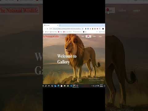 WildLife Documentary Website in Html Css & JS - Checkout My Portfolio To Get Your Website Built