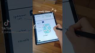 ✍ #drawboardpdf #studytok #study #studytime #notetaking #pdfediting #digitalnotes