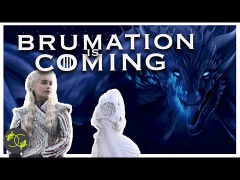 Bearded Dragon BRUMATION - Signs, advice & care - Cookies Critters - how we brumate our beardies