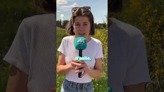 C'est quoi, les droits d'un migrant ? #rtbf #MAJ #shorts