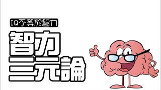 【教育心理學】斯騰柏格的智力三元論|三分鐘讀教育|SHENG CHIEH