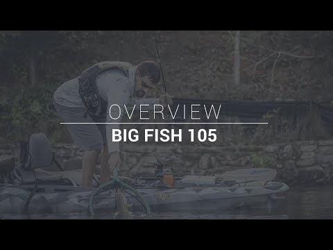 Big Fish 105: Overview