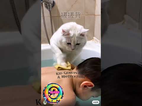 CAT HELP TO BABY | KID GENUIS HUB & MOTIVATION | FUNNY VIDEO #forkids #funanimals #trending