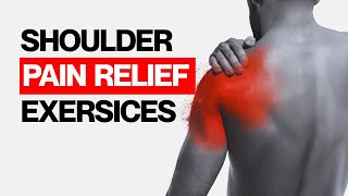 Get Rid of Shoulder Blade Pain! David Stagnitta