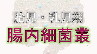 胎児期、乳児期における腸内細菌叢（DOHaD仮説③）