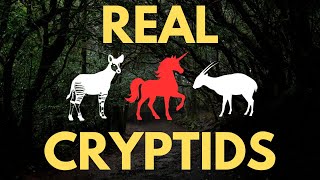 10 Cryptids That Turned Out To Actually Exist